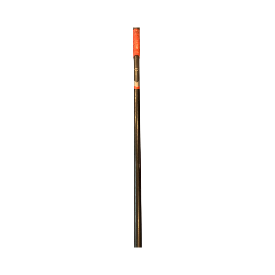BOIS - BIGBERTHA
