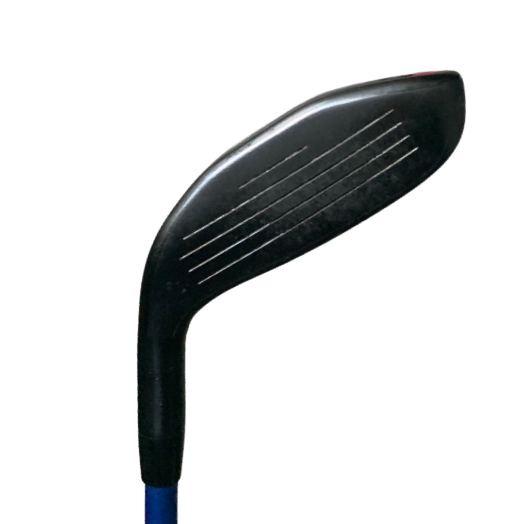 BOIS - TIGHTLIES graphite