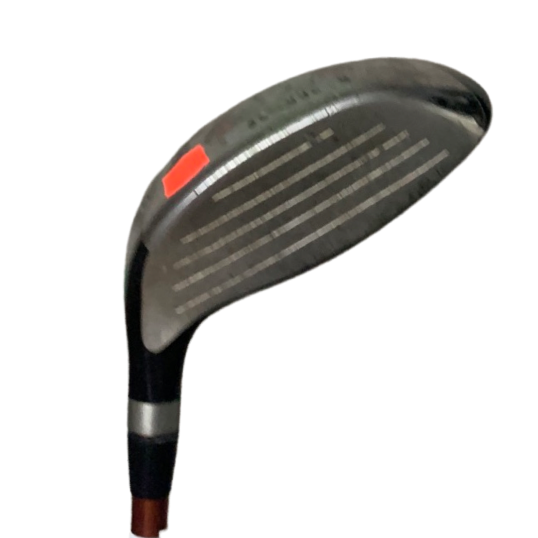 FW G10 REG